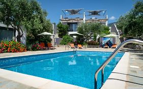 The Olive Grove Boutique Villas